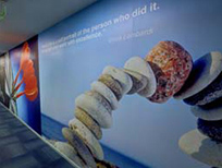 Wall Graphics