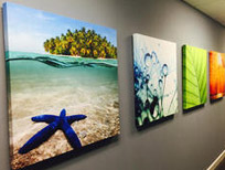 Printed &  Mounted Canvas